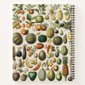 Oude Franse botanische fruitposter kunst Notitieboek (Achterkant)