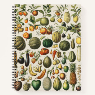 Oude Franse botanische fruitposter kunst Notitieboek