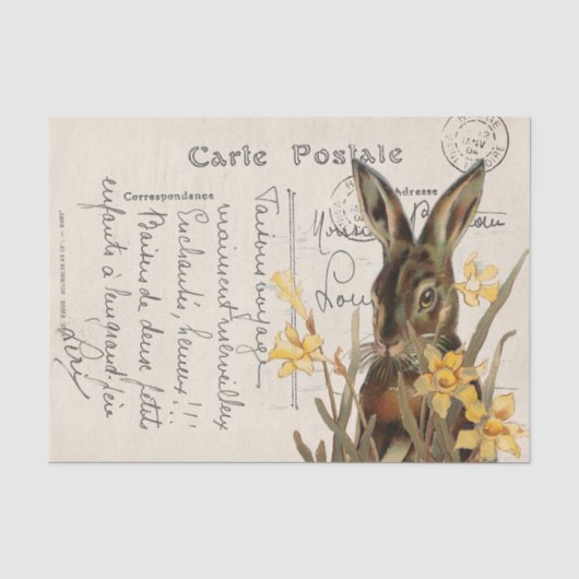 Oude Franse Paashaas Narcis Ansichtkaart Tissuepapier (Voorkant)