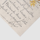 Oude Franse Paashaas Narcis Ansichtkaart Tissuepapier (Detail)