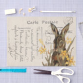 Oude Franse Paashaas Narcis Ansichtkaart Tissuepapier (Craft)