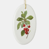 Oude Fruit Kers Eten, Kersen door Redoute Keramisch Ornament (Rechts)