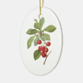 Oude Fruit Kers Eten, Kersen door Redoute Keramisch Ornament (Links)