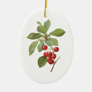 Oude Fruit Kers Eten, Kersen door Redoute Keramisch Ornament