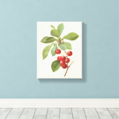 Oude Fruit Kers Voedsel, Kersen door Redoute Canvas Afdruk (Insitu (Houten vloer))