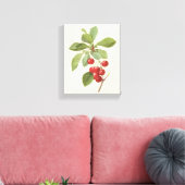 Oude Fruit Kers Voedsel, Kersen door Redoute Canvas Afdruk (Insitu (Woonkamer))