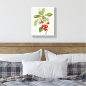 Oude Fruit Kers Voedsel, Kersen door Redoute Canvas Afdruk (Insitu (Slaapkamer))