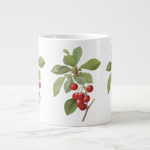 Oude Fruit Kers Voedsel, Kersen door Redoute Grote Koffiekop