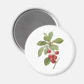 Oude Fruit Kers Voedsel, Kersen door Redoute Magneet (Voorkant / Achterkant)