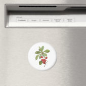 Oude Fruit Kers Voedsel, Kersen door Redoute Magneet (Insitu (Vaatwasser))