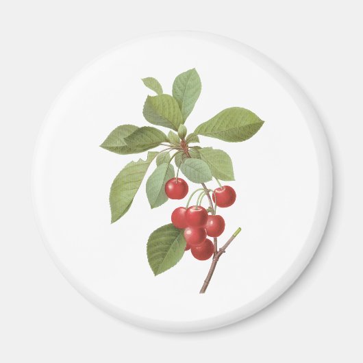 Oude Fruit Kers Voedsel, Kersen door Redoute Magneet (Voorkant)