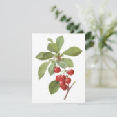 Oude Fruit, Kersen door Redoute Uitnodiging (Staand voorkant)