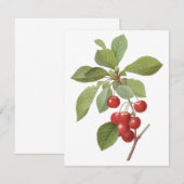 Oude Fruit, Kersen door Redoute Uitnodiging (Voorkant / Achterkant)