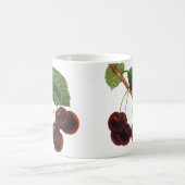 Oude Fruit Voedingsmiddelen, Rijpe Kersen van een  Koffiemok (Center)