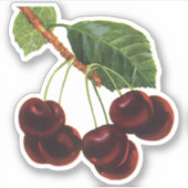 Oude Fruit Voedingsmiddelen, Rijpe Kersen van een  Sticker (Voorkant)