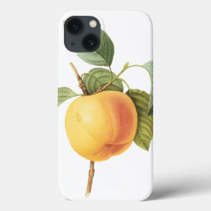 Oude Fruit Voedsel, Calville Appel door Redoute Case-Mate iPhone Case