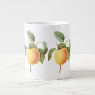 Oude Fruit Voedsel, Calville Appel door Redoute Grote Koffiekop