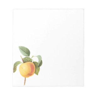 Oude Fruit Voedsel, Calville Appel door Redoute Notitieblok