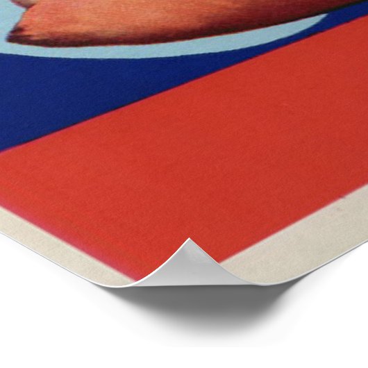  oude fruitkratenetiketten poster (Hoek)