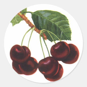 Oude Fruitproducten, Rijpe Kersen van een Boom Ronde Sticker