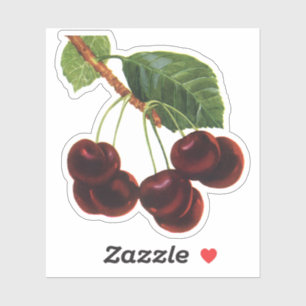Oude Fruitproducten, Rijpe Kersen van een Boom Sticker