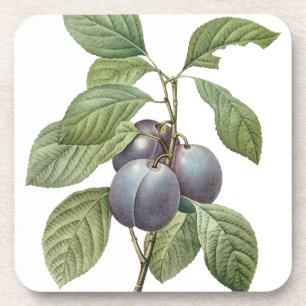 Oude Fruitsoorten, Paarse Tuinpruimen door Redoute Bier Onderzetter