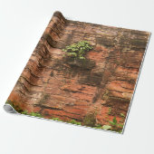 Oude gebroken muur cadeaupapier (Uitgerold)