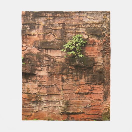 Oude gebroken muur fleece deken (Voorkant)