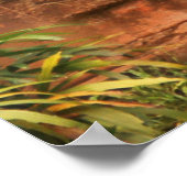 Oude gebroken muur poster (Hoek)