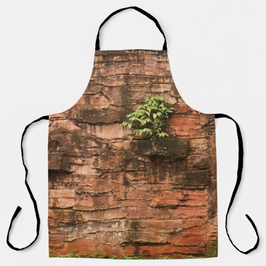 Oude gebroken muur schort (Voorkant)