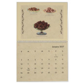 Oude gefaseerde chocolade en illustraties van Snoe Kalender (Jan 2027)
