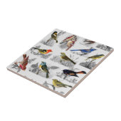 Oude gefaseerde vogels tegeltje (Zijkant)