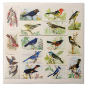 Oude gefaseerde vogels tegeltje (Voorkant)