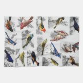 Oude gefaseerde vogels theedoek (Horizontaal)