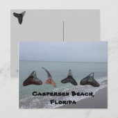 Oude gefossiliseerde haaientanden Florida Beach Tr Briefkaart (Voorkant / Achterkant)
