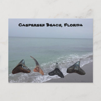 Oude gefossiliseerde haaientanden Florida Beach Tr Briefkaart