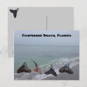 Oude gefossiliseerde haaientanden Florida Beach Tr Briefkaart (Voorkant / Achterkant)