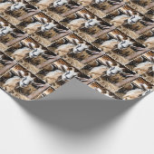 Oude geit in schuur cadeaupapier (Hoek)