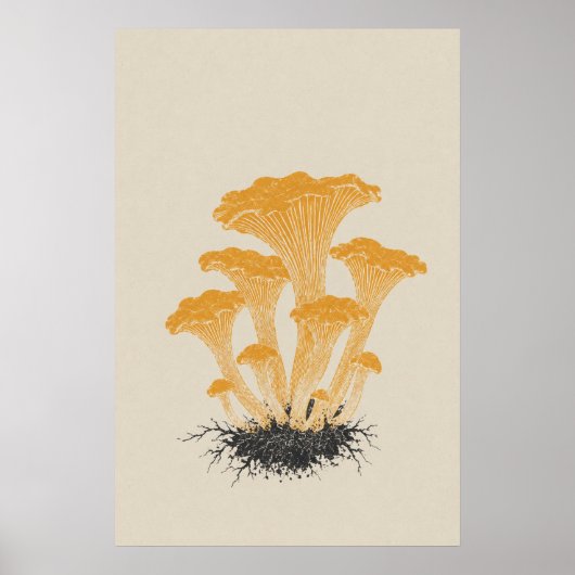Oude gele cantharel paddenstoel botanisch poster (Voorkant)