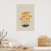 Oude gele cantharel paddenstoel botanisch poster (Keuken)
