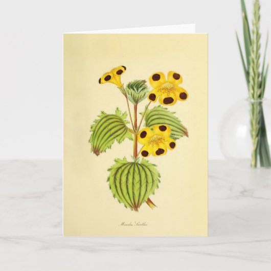 Oude gele en rode bloemillustratie kaart (Voorkant)