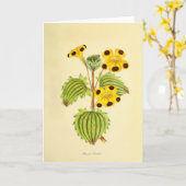 Oude gele en rode bloemillustratie kaart (Gele Bloem)