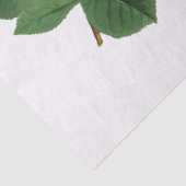 Oude gele roos bloem tissuepapier (Detail)