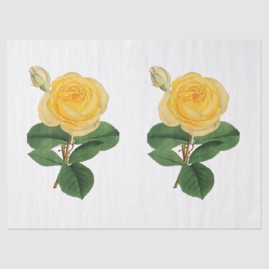 Oude gele roos bloem tissuepapier (Voorkant)
