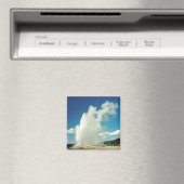 Oude gelovigen magneet (Insitu (Vaatwasser))