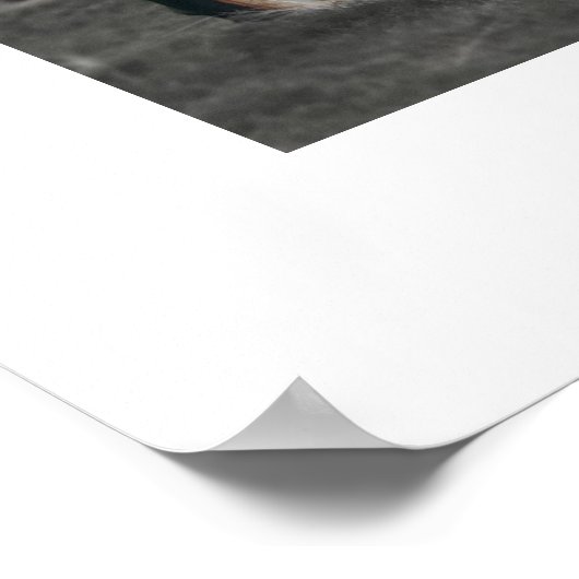 Oude gelovigen poster (Hoek)