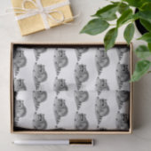 Oude Gemaskerde Wasbeer Tissuepapier (Geschenk)