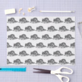 Oude Gemaskerde Wasbeer Tissuepapier (Craft)