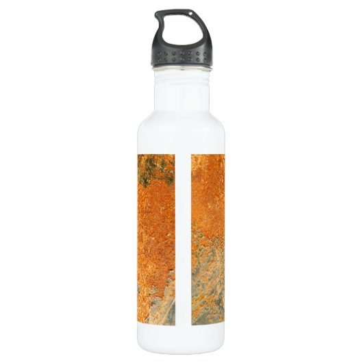 Oude geroosterde ijzermetalen waterfles (Achterkant)