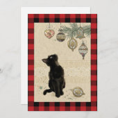 Oude geruite zwarte kat die naar versieringen kijk feestdagenkaart (Voorkant / Achterkant)